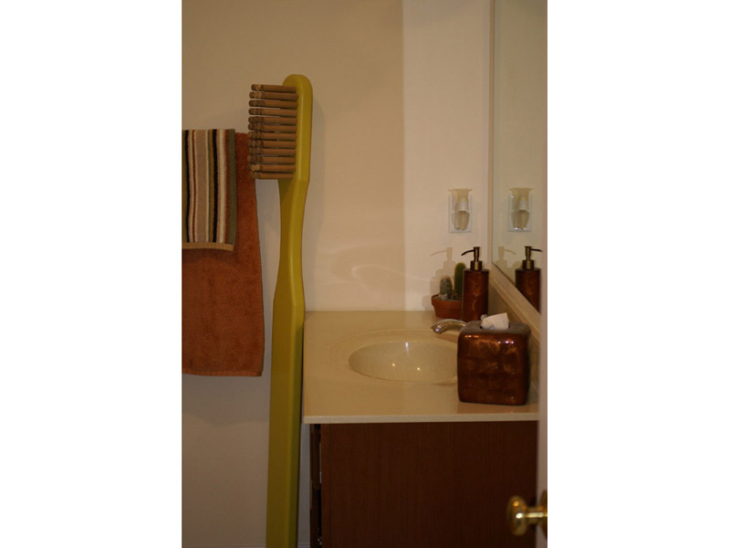 giant-toothbrush-13.jpg